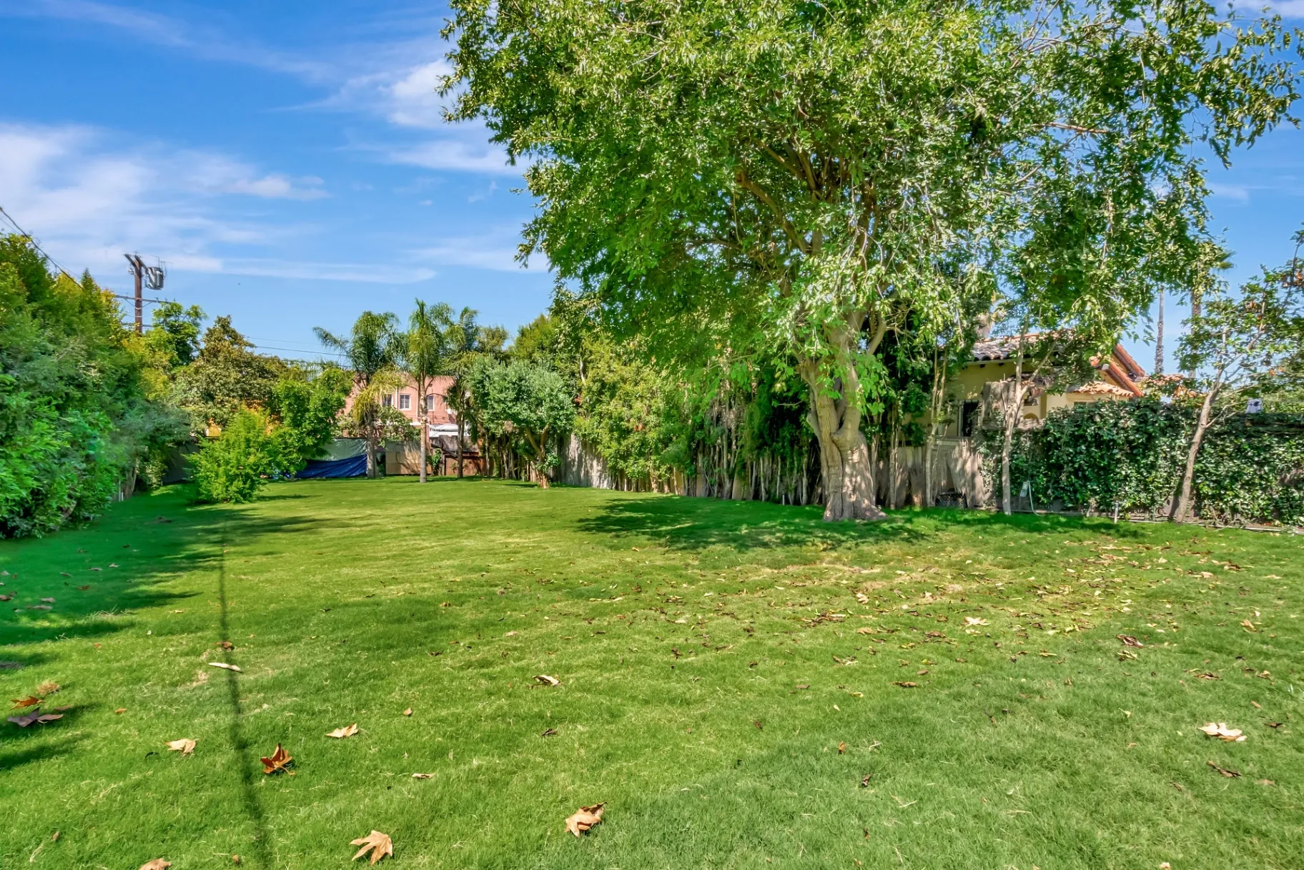 1145 S Longwood Ave Mid-Wilshire — Outdoor: Private backyard with expansive lawn and mature shade trees
