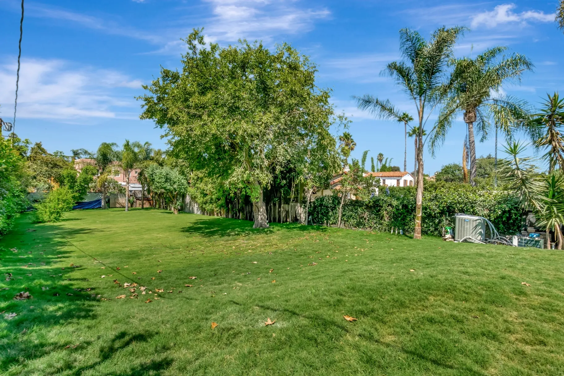 1145 S Longwood Ave Mid-Wilshire — Outdoor: Wide backyard view with established landscaping and neighborhood setting