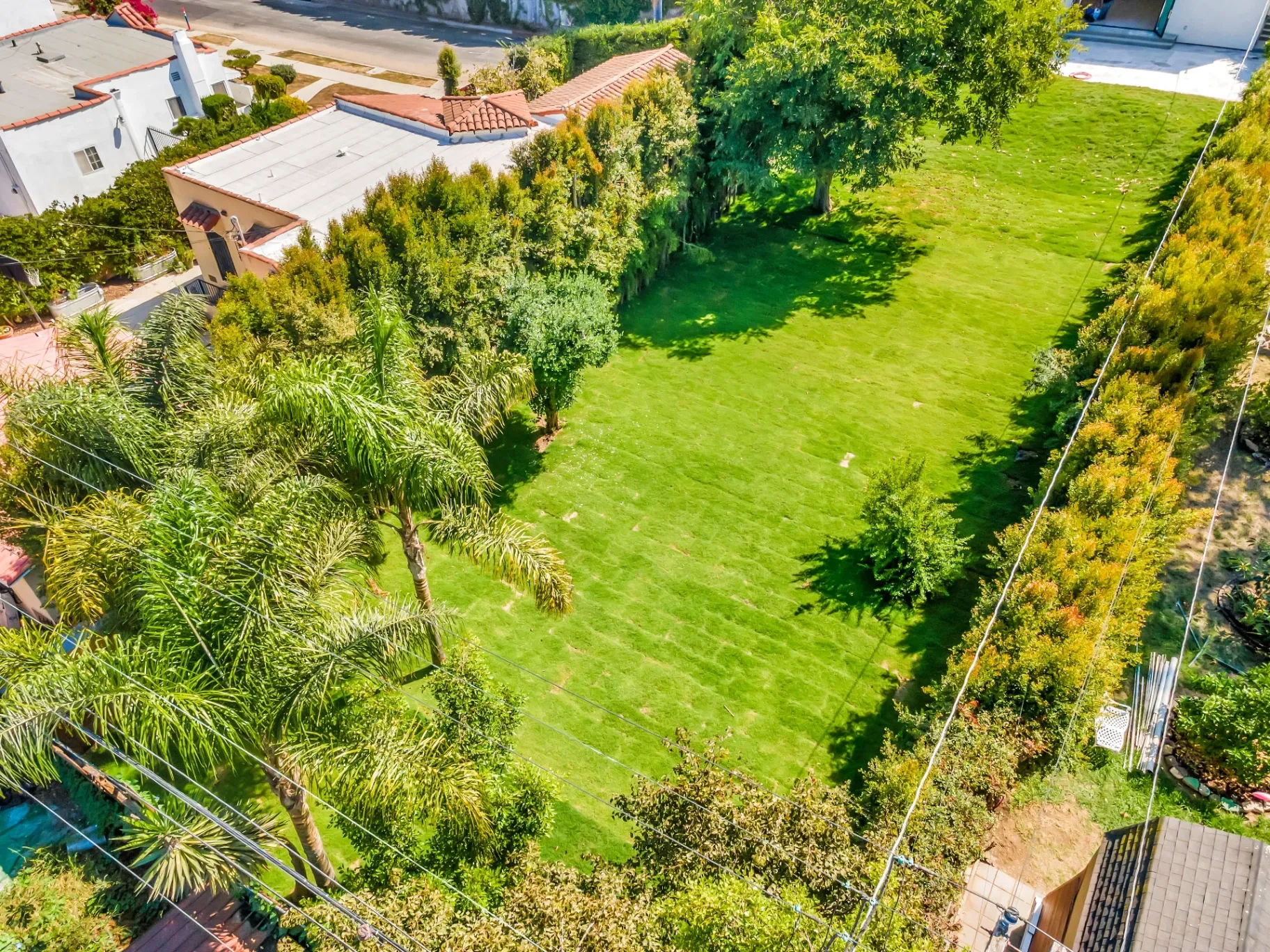1145 S Longwood Ave Mid-Wilshire — Outdoor: Bird's eye view of expansive 0.3-acre lot with mature landscaping