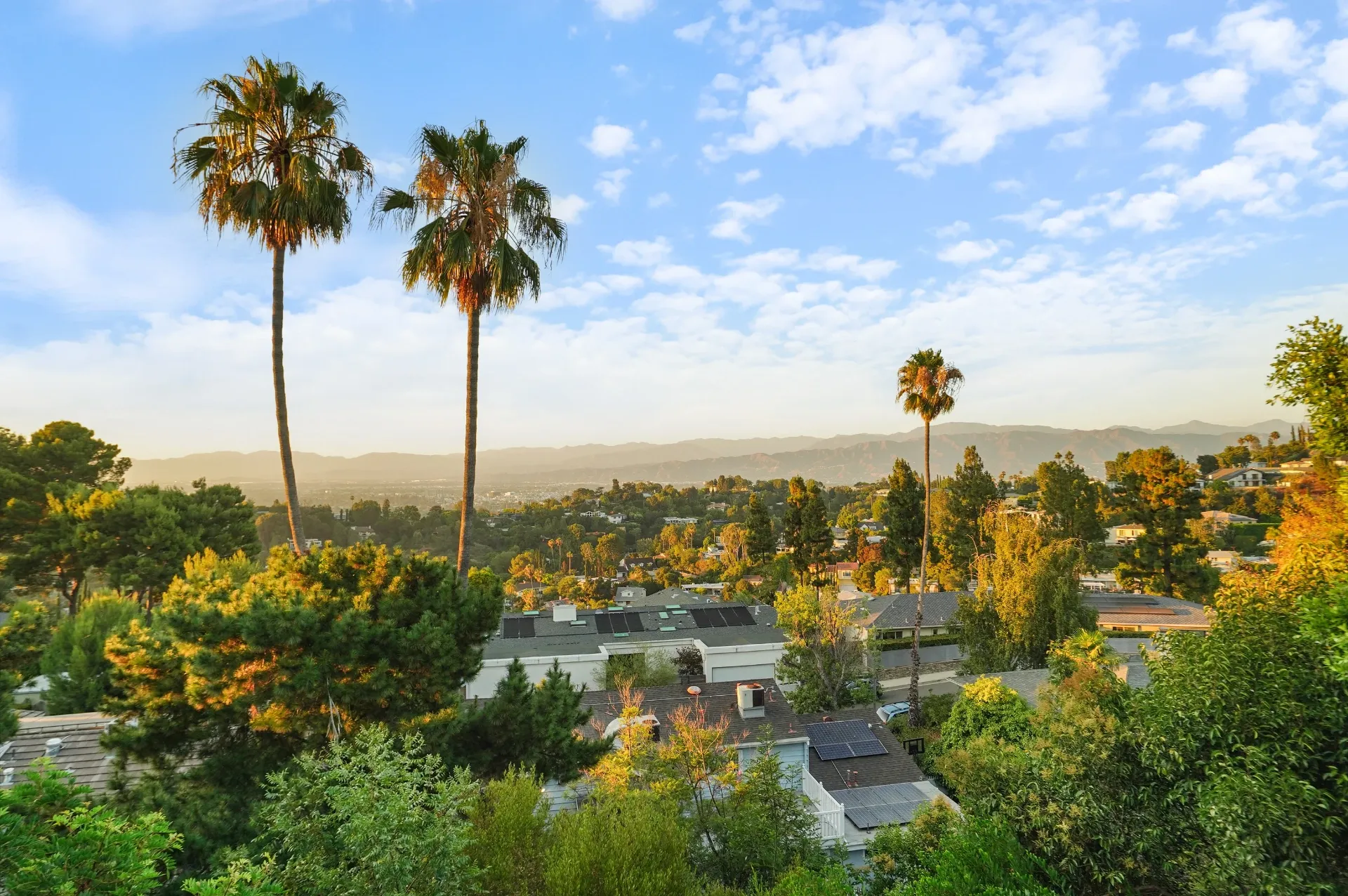 11308 Dona Teresa Dr — View: Panoramic valley view with palm trees and Studio City hillside neighborhoods